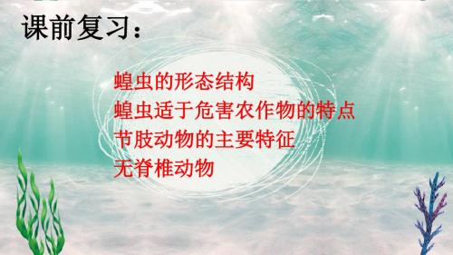 冀少七上生物4.6鱼类(讲课赛课件)