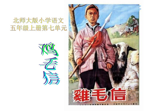 五年级语文鸡毛信课件