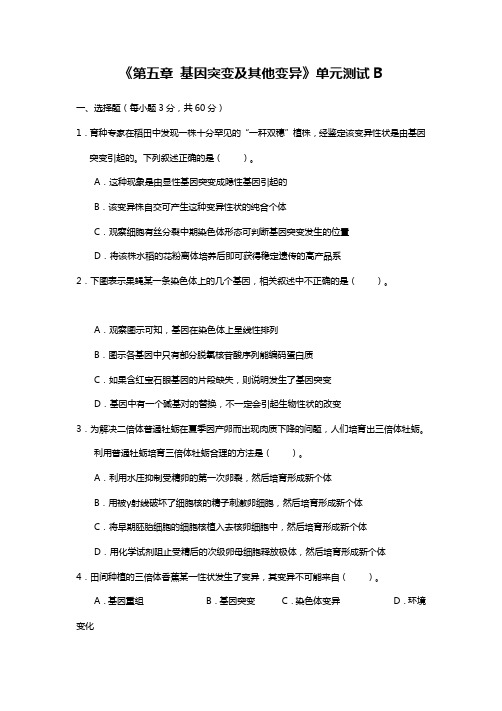 高中生物人教版必修2章节单元测试第5章  基因突变及其他变异单元测试B