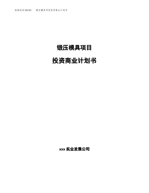 锻压模具项目投资商业计划书(项目投资分析范本)
