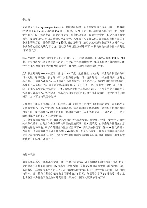帝企鹅