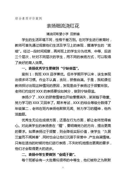表扬细流浇红花--小学生综合素质评价案例