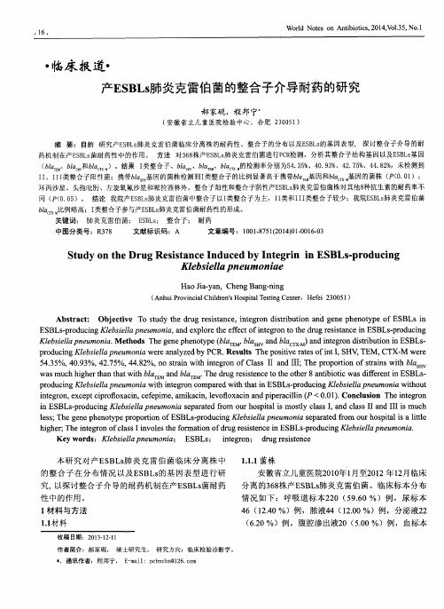 产ESBLs肺炎克雷伯菌的整合子介导耐药的研究