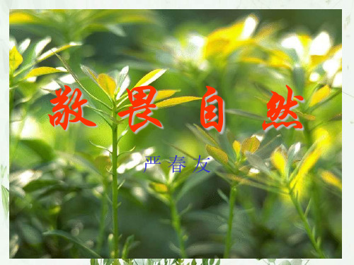 《敬畏自然》2PPT课件 图文