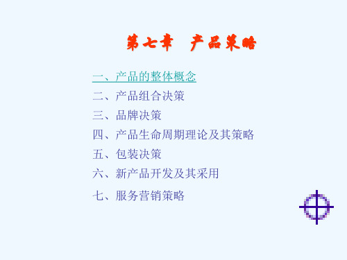 第五章-产品决策