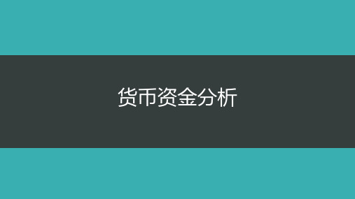 货币资金分析案例