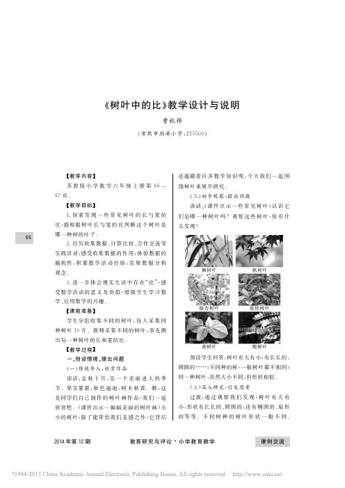 _树叶中的比_教学设计与说明_曹秋桦