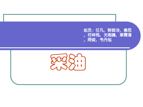 石油工程专业PPT