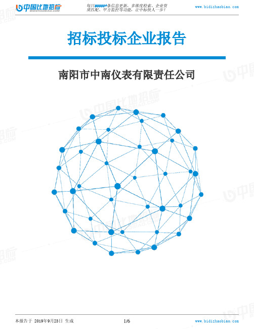 南阳市中南仪表有限责任公司_中标190923