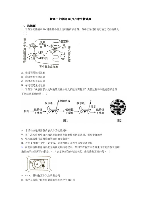 新高一上学期12月月考生物试题