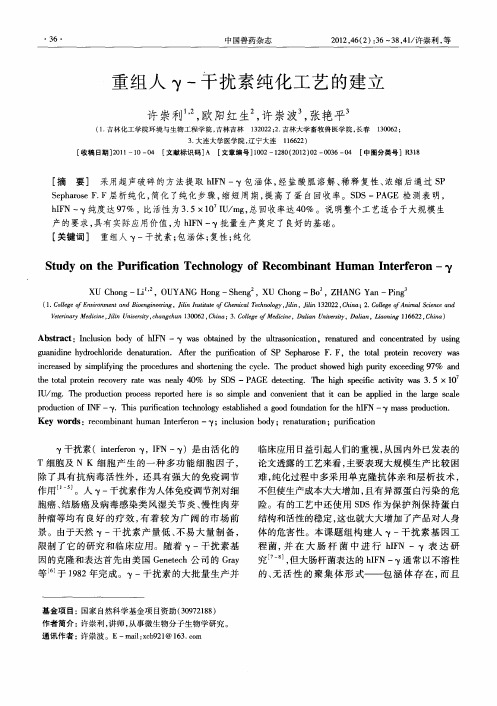 重组人γ-干扰素纯化工艺的建立