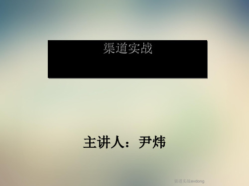 渠道实战evdong