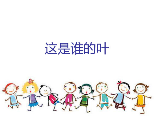 一年级上册科学课件1.4这是谁的叶(3) l 教科版 (共10张PPT)