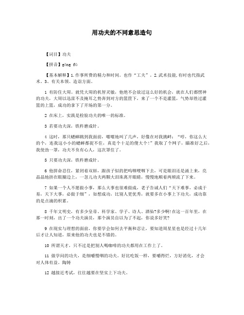 用功夫的不同意思造句