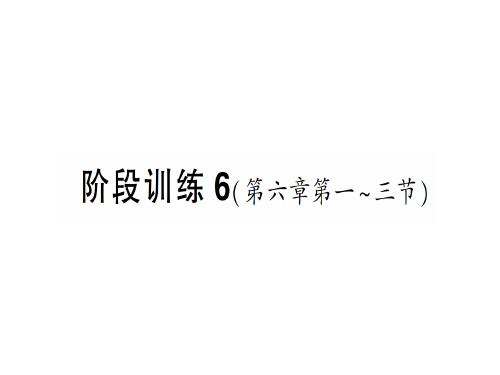 第六章 阶段训练6—2020年秋沪科版八年级上册物理(作业)课件
