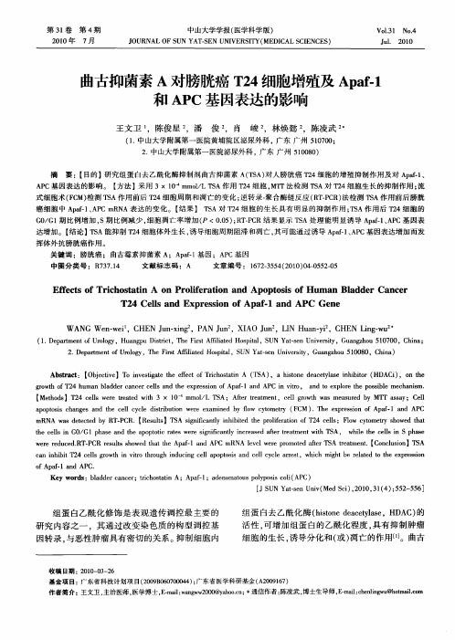 曲古抑菌素A对膀胱癌T24细胞增殖及Apaf-1和APC基因表达的影响