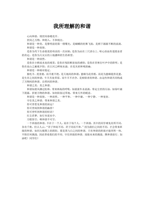 我所理解的和谐