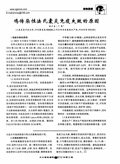 鸡传染性法氏囊炎免疫失败的原因