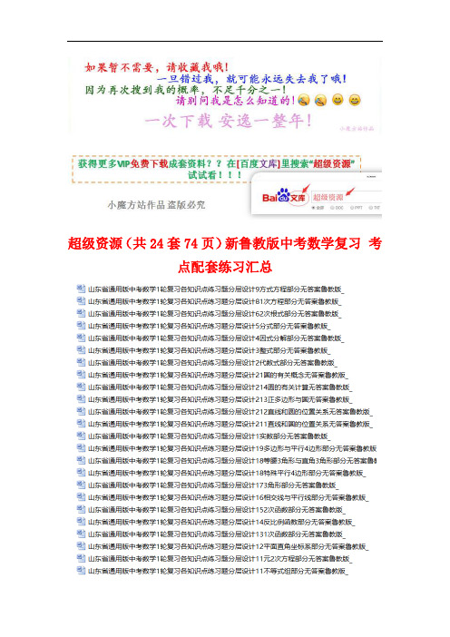 超级资源(共24套74页)新鲁教版中考数学复习 考点配套练习汇总