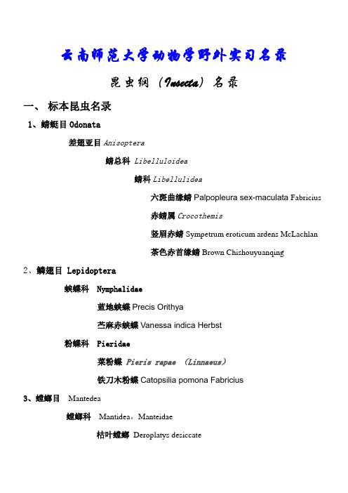 昆虫名录