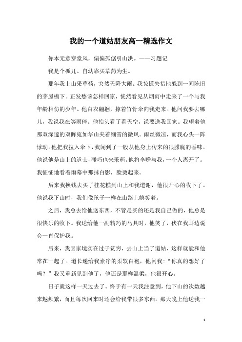 我的一个道姑朋友高一精选作文