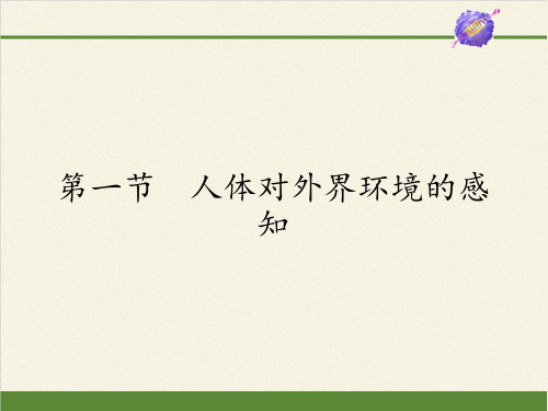 人教版初中生物七年级下册课件-4.6.1 人体对外界环境的感知35