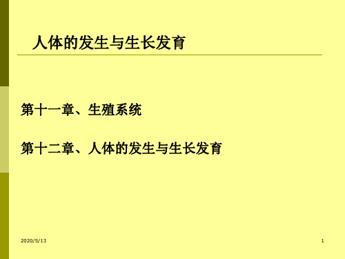 生殖系统课件PPT课件