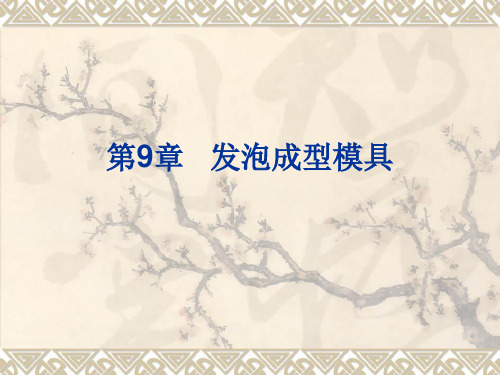 第9章发泡成型模具 《塑料成型工艺与模具设计》课件