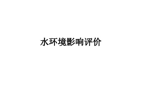 10 水环境影响评价