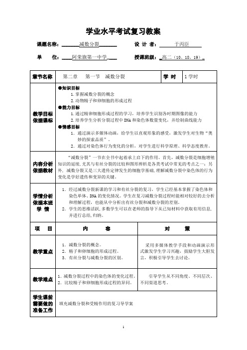 减数分裂复习教案
