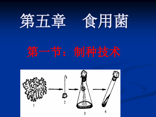 食用菌制种技术