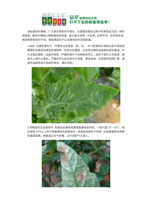 番茄叶霉病有什么药推荐