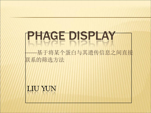 2019-2020年人教统编噬菌体展示技术的原理及其应用幻灯片