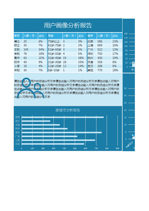 用户画像分析报告Excel表格