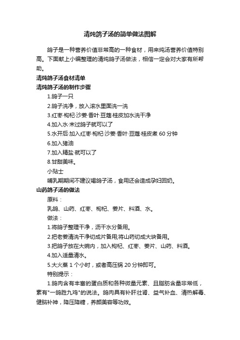 清炖鸽子汤的简单做法图解
