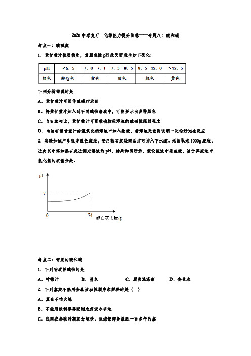 2020中考复习  化学能力提升训练——专题八：酸和碱