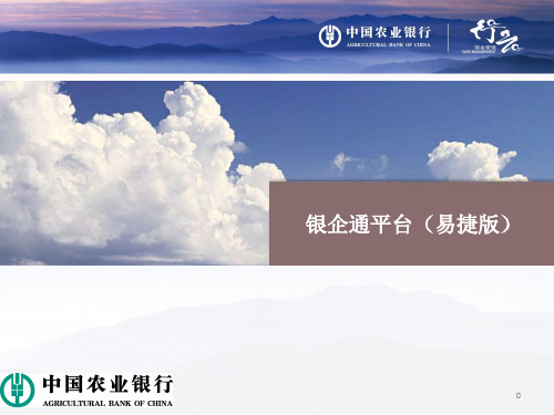 银企通平台(易捷版)