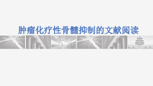 肿瘤化疗性骨髓抑制的文献阅读
