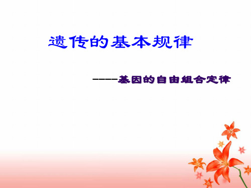12.基因的自由组合定律