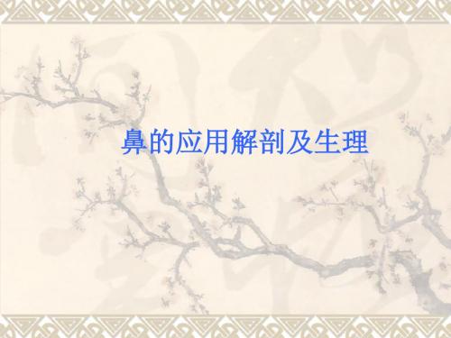 鼻的应用解剖及生理课件