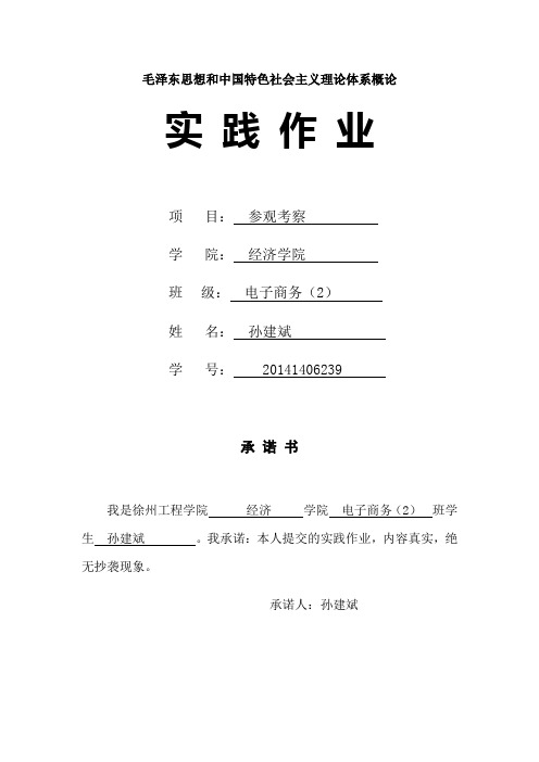 毛中特实践教学作业