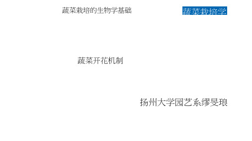 蔬菜开花机制