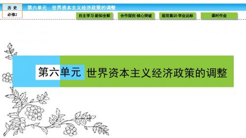2016-2017学年(人教版)高中历史必修2课件：第六单元 世界资本主义经济政策的调整6.17