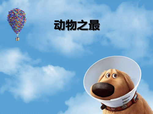 动物之最
