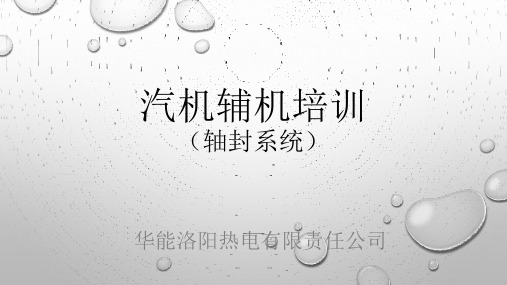 汽轮轴封系统