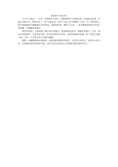 我家的“不速之客”_小学作文
