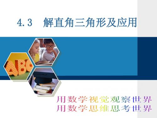 1.1 解直角三角形及应用 课件(湘教版九年级上)