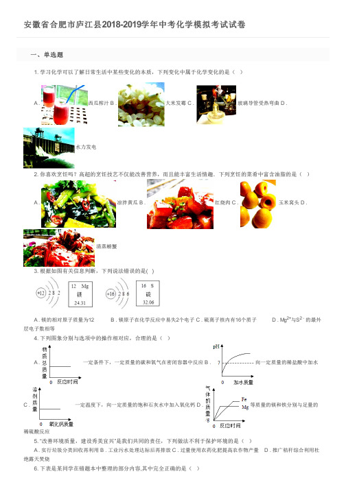 安徽省合肥市庐江县2018-2019学年中考化学模拟考试试卷及参考答案