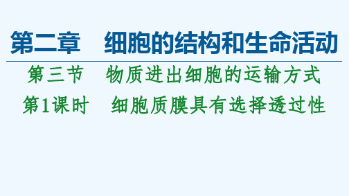 2021_2022学年新教材高中生物第二章细胞的结构和生命活动第3节第1课时细胞质膜具有选择透过性课