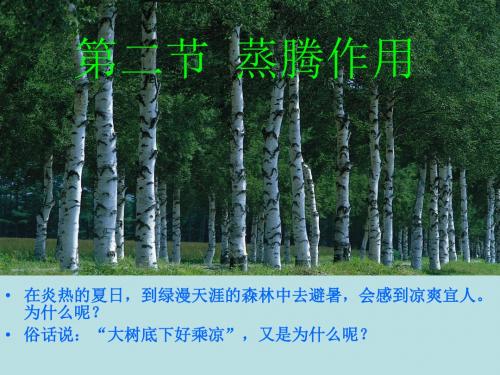 冀教版《蒸腾作用》ppt课件